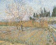 Vincent Van Gogh Orchard with Peach Trees in Blossom (nn04) USA oil painting artist